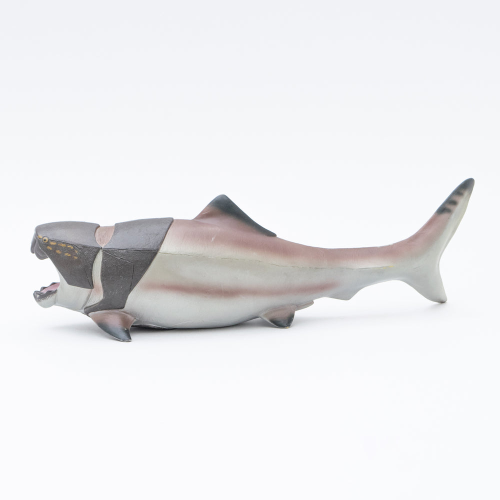 
                  
                    Load image into Gallery viewer, Dunkleosteus Vinyl Model
                  
                