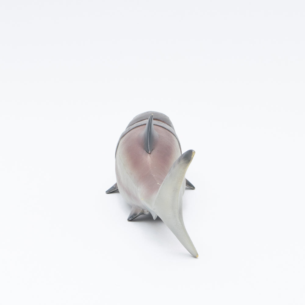 
                  
                    Load image into Gallery viewer, Dunkleosteus Vinyl Model
                  
                