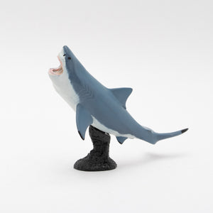 
                  
                    Load image into Gallery viewer, Megalodon Soft Model
                  
                