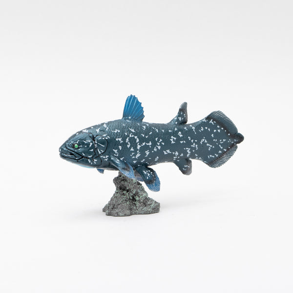 フェバリット社favorite マダイ　シーバス　アユ　魚リアル　フィギュア フェバリット社favorite マダイ シーバス アユ 魚リアル