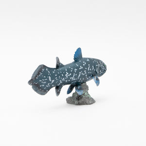 
                  
                    Load image into Gallery viewer, Coelacanth Soft Model
                  
                