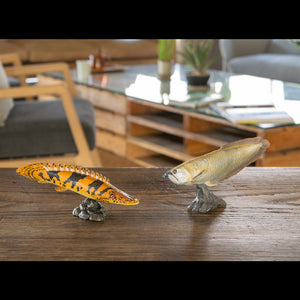 
                  
                    Load image into Gallery viewer, Saddled bichir Soft Model
                  
                