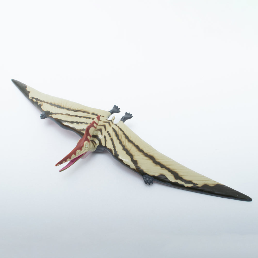 Pteranodon Vinyl Model Special Color Edition