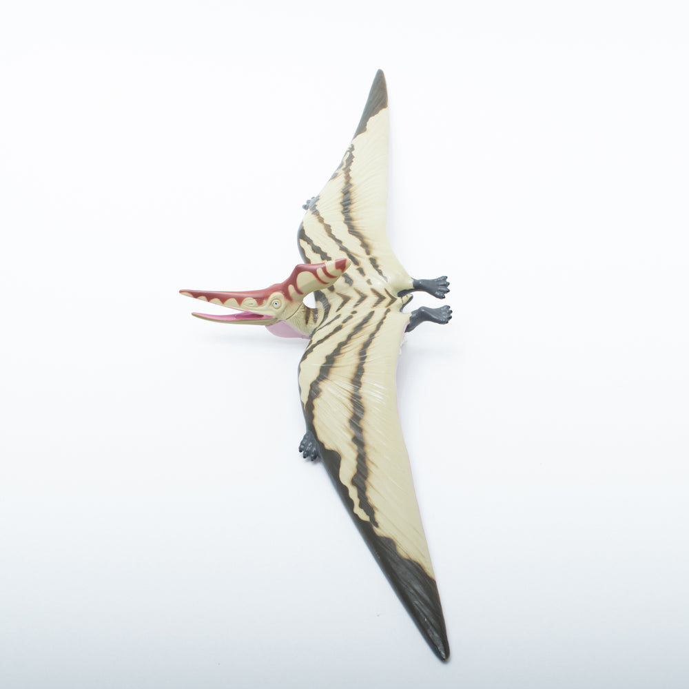 
                  
                    Load image into Gallery viewer, Pteranodon Vinyl Model Special Color Edition
                  
                