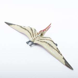 
                  
                    Load image into Gallery viewer, Pteranodon Vinyl Model Special Color Edition
                  
                
